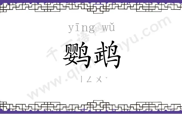鹦鹉
