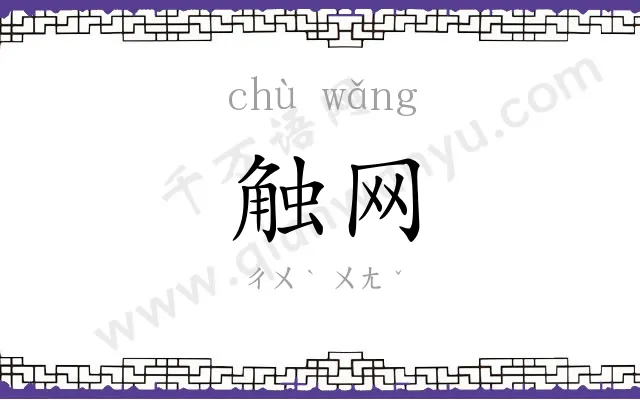 触网