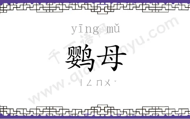 鹦母