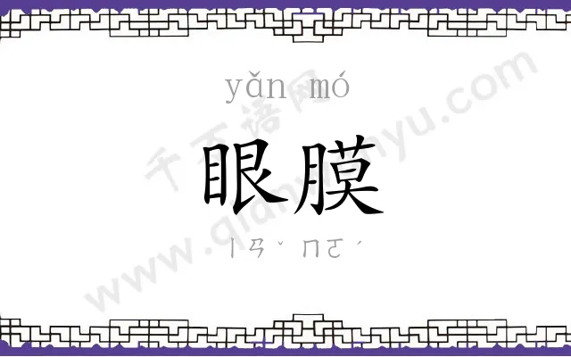 眼膜
