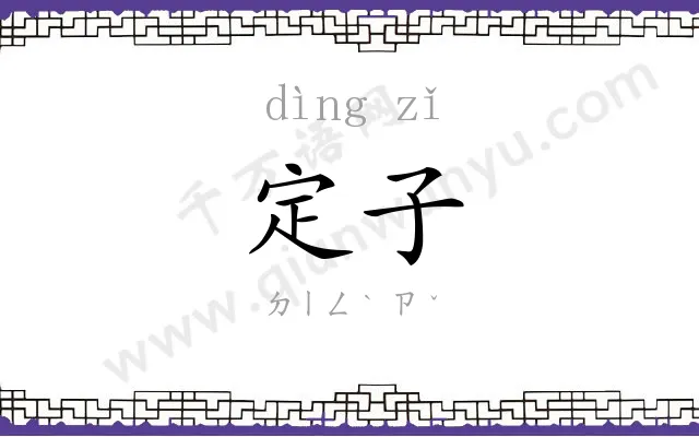定子