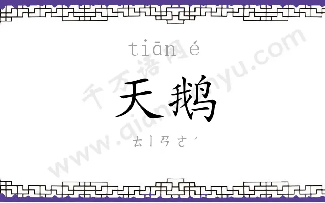天鹅