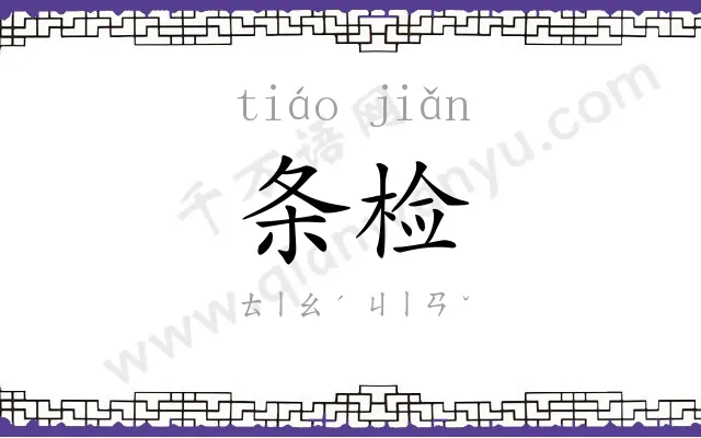 条检