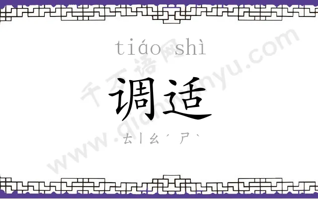 调适