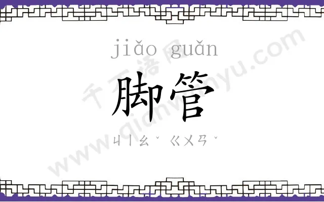 脚管