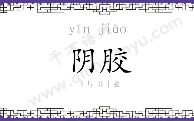 阴胶