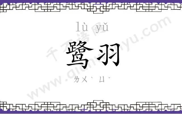 鹭羽