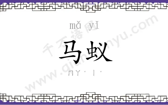 马蚁