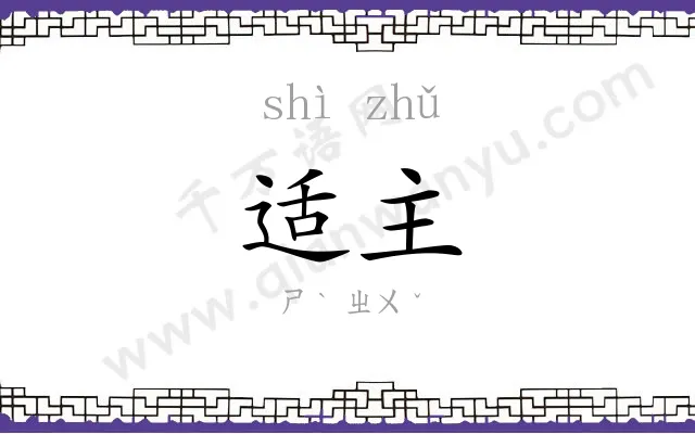 适主