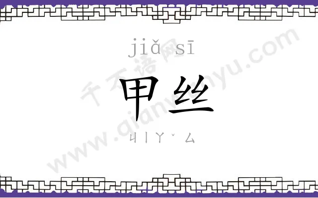 甲丝