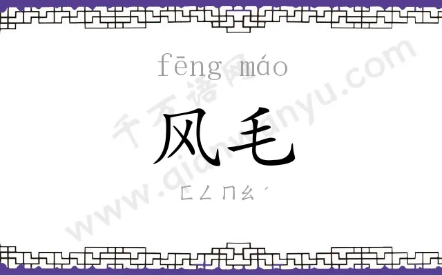 风毛