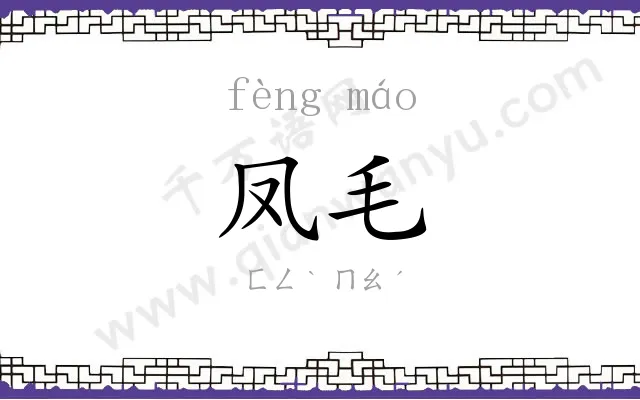 凤毛