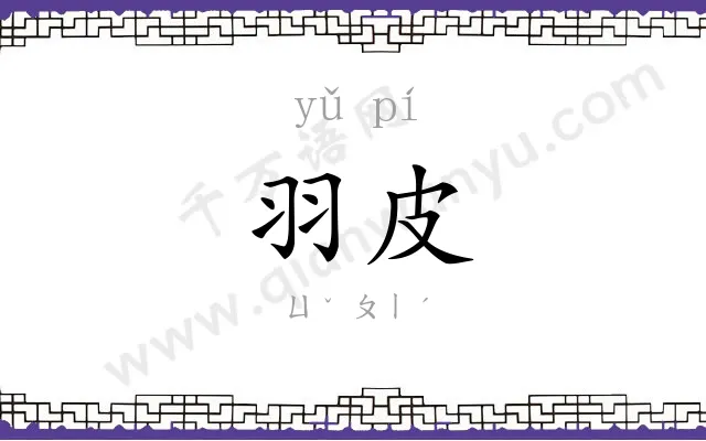 羽皮