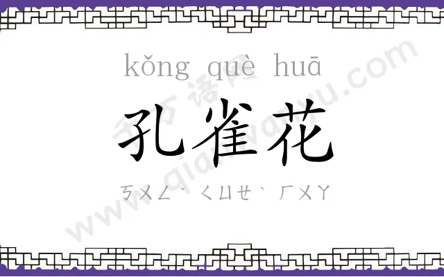 孔雀花