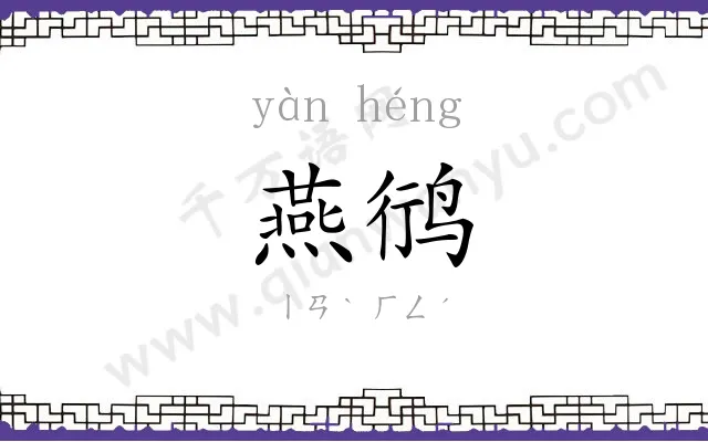 燕鸻