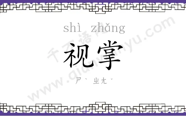 视掌