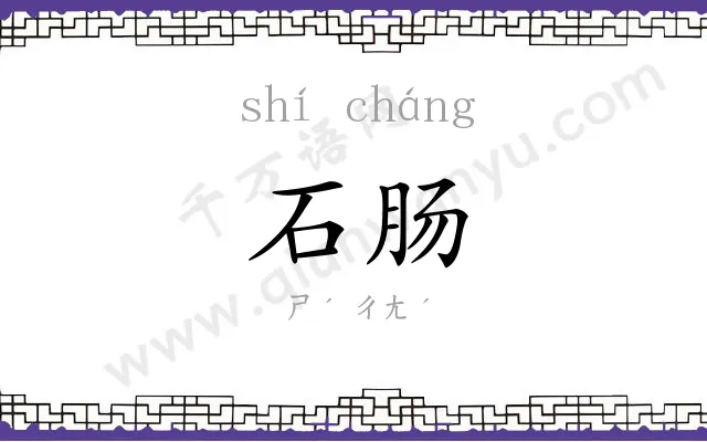 石肠