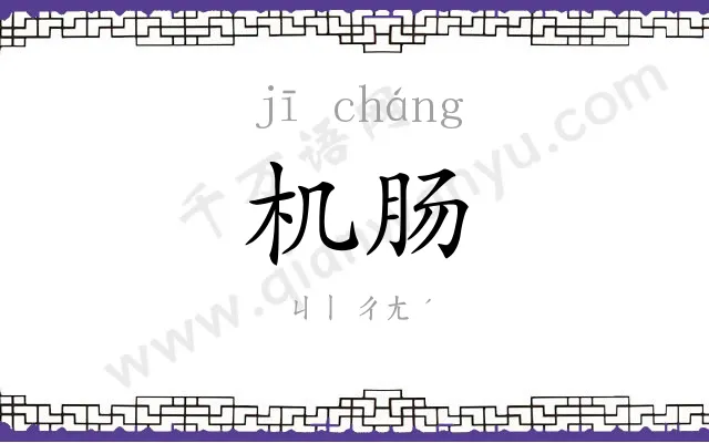 机肠
