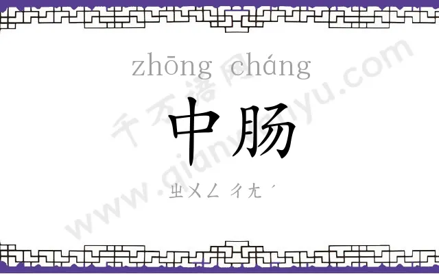 中肠