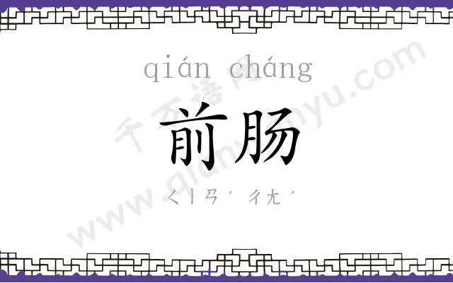 前肠