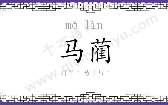 马蔺