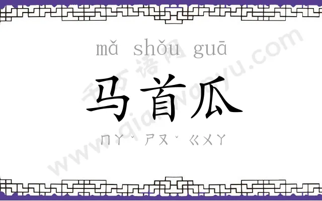 马首瓜