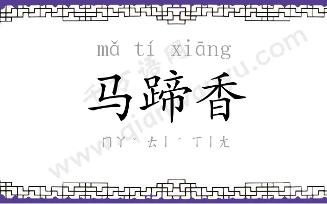 马蹄香
