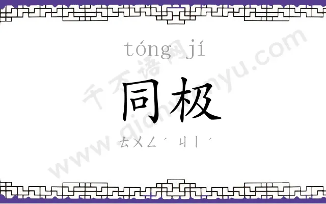 同极