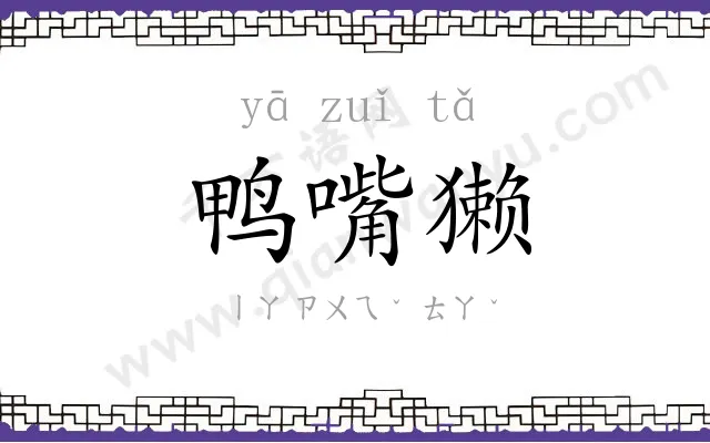 鸭嘴獭