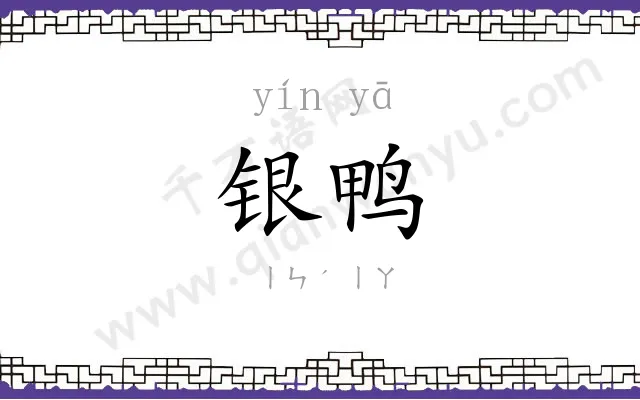 银鸭