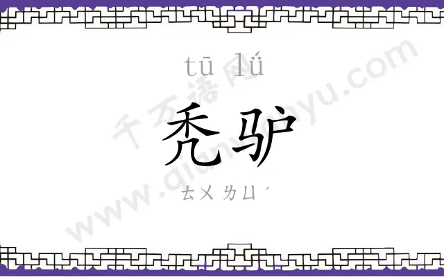 秃驴