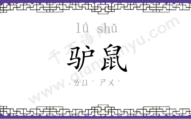 驴鼠