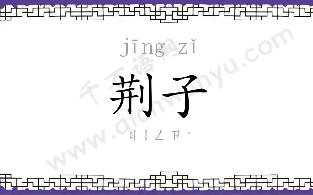 荆子