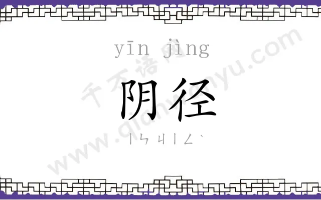 阴径