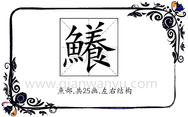 鱶