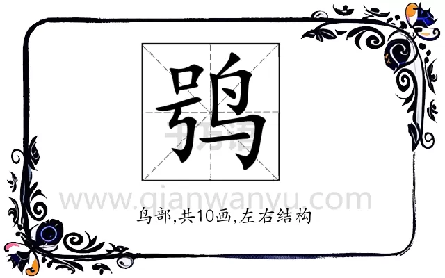 鸮
