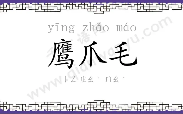 鹰爪毛