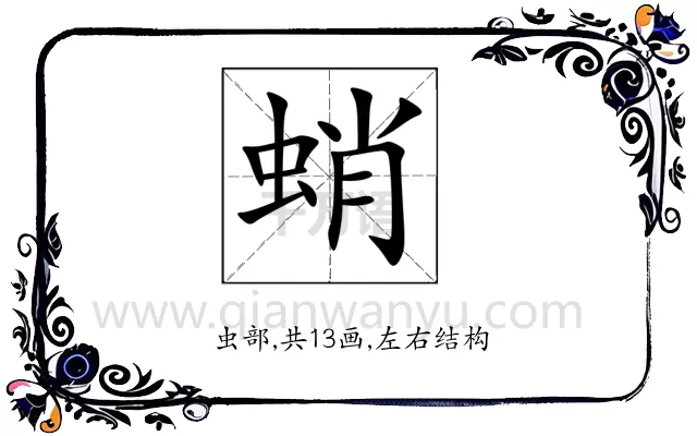 蛸