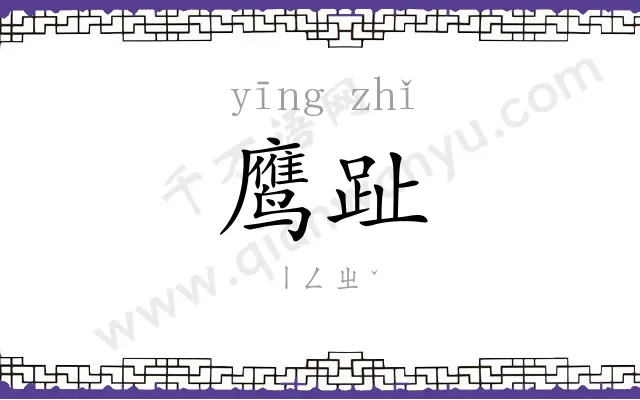 鹰趾