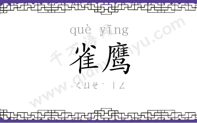 雀鹰