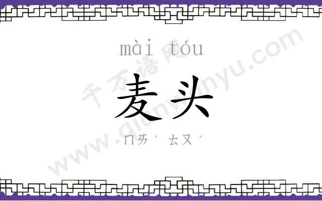 麦头