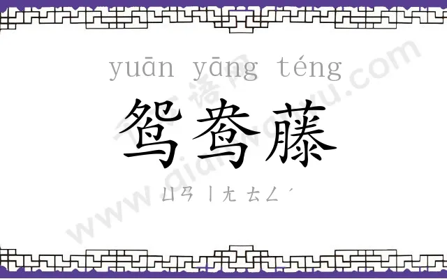 鸳鸯藤
