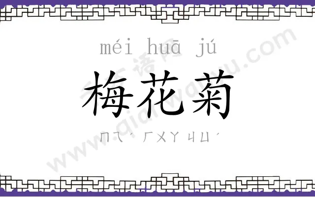 梅花菊