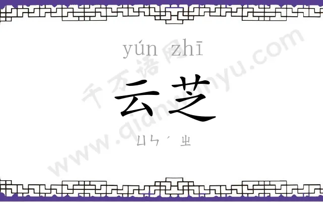 云芝