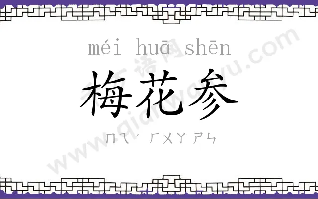 梅花参