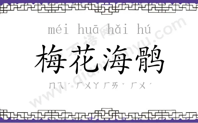 梅花海鹘