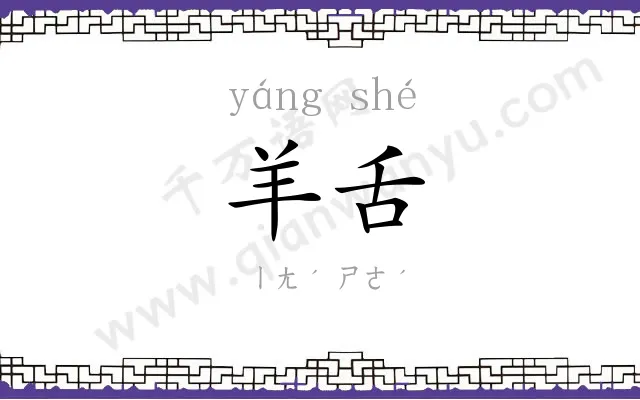 羊舌