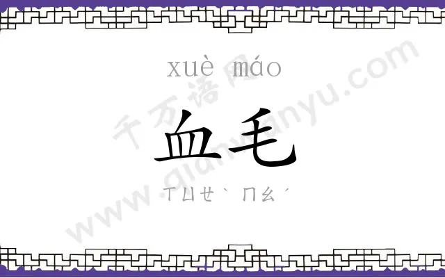 血毛