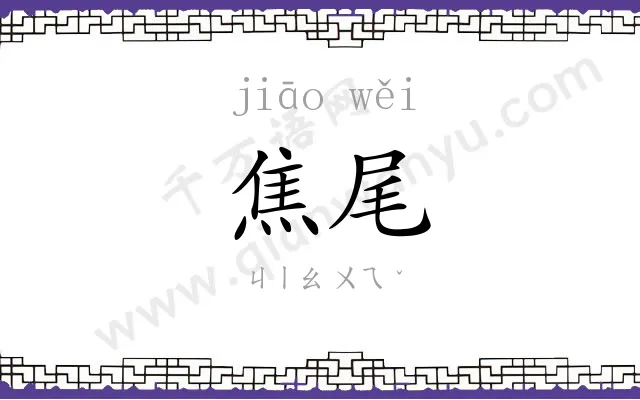 焦尾