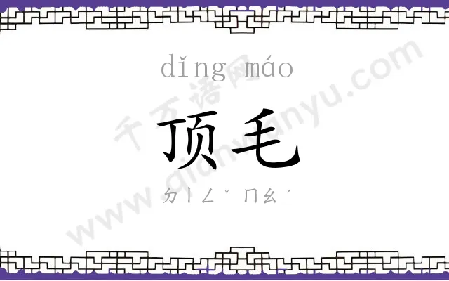 顶毛